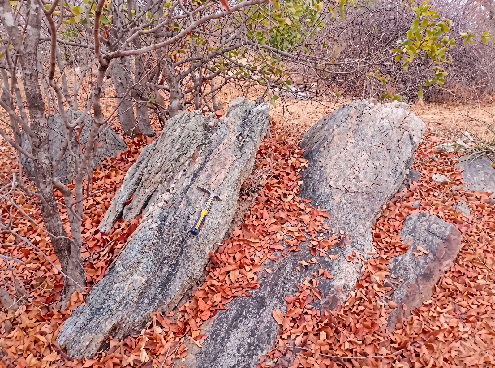 Gold Mining Operation Site